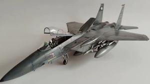 タミヤ1/48 アメリカ海軍 F-15C 組立塗装済完成品