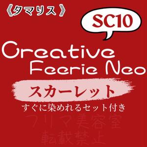 SC10 ファッションカラー　セット　ショート　ヘアカラー　スカーレット レッド　すぐに使える　美容室　ヘアカラー剤　おしゃれ染め