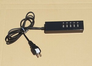 EVERGREEN USBポート 5口 電源コード 84173 DN-HUSB-5PortUSB 黒 ブラック