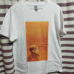 David Bowie (デヴィッドボウイ デビッド) BIGプリント バンドTee Tシャツ Lサイズ『ロウ LOW』★送料無料/新品