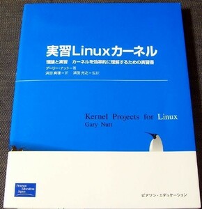 実習Linuxカーネル｜OS オペレーティングシステム 技術解説 テクニカルガイド 構造 プロセス リソース管理 メモリ管理#z