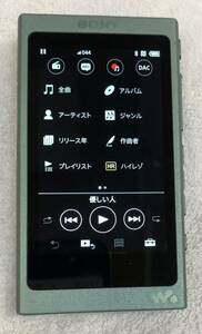 SONY WALKMAN/ウォークマン NW-A45