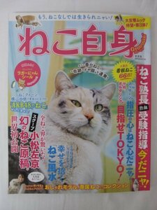 AR14613 ねこ自身 2018 ※傷みあり ねこ塾長が熱血受験指導「今だニャ！」 ねこ風水 おしゃれモデルの”専属ねこさん”コレクション