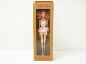 未使用品 1/6 みんなでつくるmomoko DOLL 2013 人形 ◇TY14396