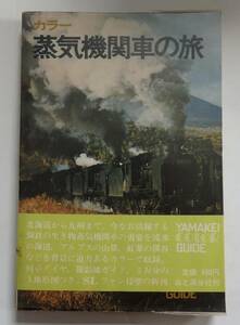 「カラー蒸気機関車の旅」　昭和45年5月25日初版　帯ビニカバ付　山渓カラーガイド　廣田尚敬　