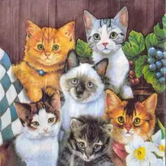 ペーパーナプキン　デコパージュ　ネコ　猫　ねこ　いっぱい　かわいい　5枚