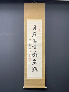 【模写】【一灯】【最終値下げ】vg7039〈新井石龍〉書 曹洞宗雲洞庵45世 マッカーサー 新潟