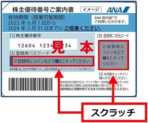 ANA 全日空 株主優待券 1枚 登録パスワード即日通知可_b