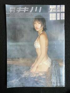 ◆(30523)月刊　井川遥　写真集　水着ビキニ