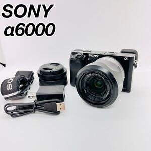 SONY ソニー　ミラーレス一眼　a6000 α6000 ボディ　レンズ