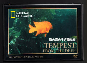 DVD 「海の森の生き物たち ナショナルジオグラフィック セレクション」エルニーニョ現象 魚