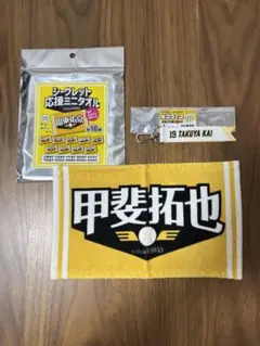 ホークス  甲斐拓也捕手  グッズ2点セット