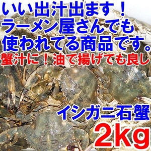 「生出荷！カニ汁用！石蟹小サイズ２kg」 活状態での梱包 松島牡蠣屋 蟹汁 味噌汁 中華料理 フィリピン料理にも 目安：2キロで60杯程度