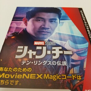 シャン・チー／テン・リングスの伝説　マジックコード