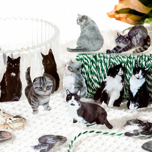 かわいい猫ちゃんシール♪　PET素材 　クリアシール　黒猫　グレー猫　ブルー猫　40枚入り