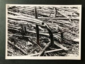 ◆ 写真家 松本榮一 松本栄一 撮影 原爆の写真 オリジナルプリント 昭和20年 広島 長崎 ◆ 写真家 日本写真家協会会員 第二次世界大戦 c