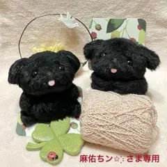 麻佑ちン✩︎⡱さま専用♡ちいさな黒いわんちゃん!!寝そべり＆お座り