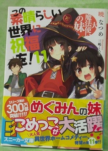 この素晴らしい世界に祝福を！　１１　大魔法使いの妹