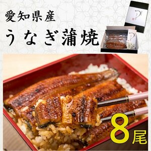 【送料無料】◆愛知県産 うなぎ蒲焼 (133g～150g) x 8尾 国産★鰻蒲焼：真空パック・冷凍　送料無料:一部地域対象外