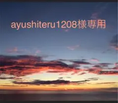 ayushiteru1208様専用