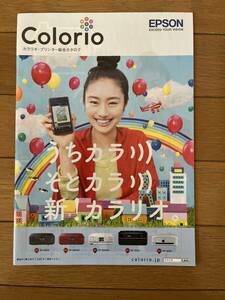 【送料無料】EPSON　Colorio カラリオ　プリンター　EP-805シリーズ　カタログ　2013年
