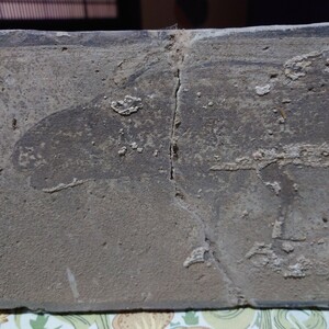 古代中国　先史時代　夏　殷周　秦　漢代　発掘品　壁画　魚図　chinease antique