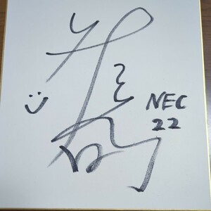 サイン色紙 Vリーグ NECレッドロケッツ 佐藤淑乃選手