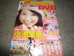 ヤングアニマル　2009年2月13日号　no.3 小池里奈　田中涼子　小田あさ美　京本有加　ＤＶＤ付