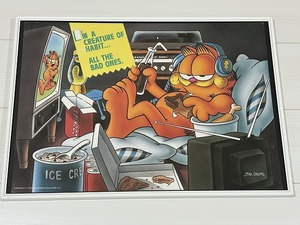 ガーフィールド Garfield ヴィンテージ ポスター poster USA [ga-470]