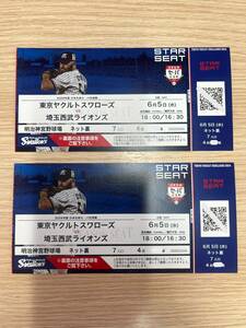 6月5日(水)　神宮球場　東京ヤクルトvs埼玉西武ライオンズ　ネット裏４段ペア