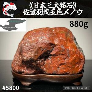 【GW感謝祭】 水石 佐渡羽茂五色メノウ 石本体:横10×高6.5(cm)880g佐渡赤玉石 佐渡錦紅石 赤玉赤石盆栽骨董盆石鑑賞石観賞石 5800