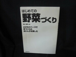 はじめての野菜づくり　栽培の手順がよくわかる62種　カバー無シミ有/VDE