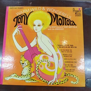 TONY MOTTOLA / WARM, WILD & WONDERFUL　Mondo / Lounge / Exotica US盤