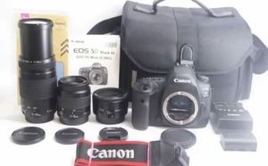 ☆極上品☆3040万画素☆キヤノン Canon EOS 5D Mark IV