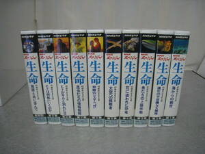 NHKスペシャル　生命　４０億年はるかな旅　全１０巻　VHS　ビデオ