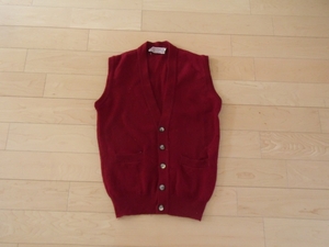 James Dalgliesh PURE WOOL VEST