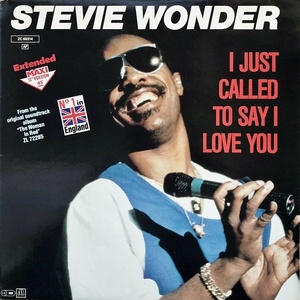【Soul 12】Stevie Wonder / I Just Call To Say I Love You