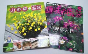 毎日、毎年、楽しめる山野草と小さな盆栽他◆趣味の園芸18.10 秋の山野草入門 2冊まとめて