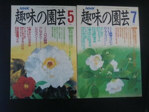 Ba1 08676 NHK 趣味の園芸 1990年5月号(No.206)・7月号(No.208) 2冊セット クレマチス 小菊・やさしい仕立て方 花の万博/熱帯スイレン 他