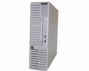 NEC iStorage NS100Ti (NF8100-252S01Y) Pentium Gold G5400 3.7GHz メモリ 8GB HDD 4TB×2 (SATA) DVD-ROM