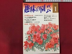 ｓ◆　平成5年　NHK 趣味の園芸 1月号　シンビジューム 他　日本放送出版局　書籍のみ　書籍　雑誌　/M99