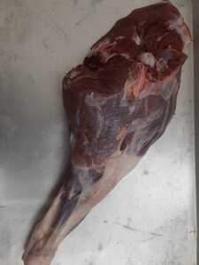 猪肉　ペット用　モモ肉　骨付き　1087g 　ジビエ　2