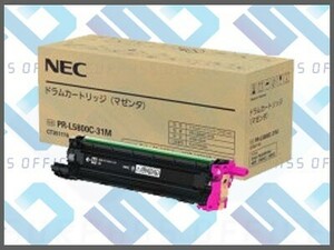 NEC 純正 ドラム PR-L5800C-31(M) マゼンタ