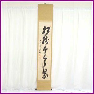 ■真言宗 豊山派寺院 乃木山主 二代目南天棒 平松亮卿 五字一行書/松樹千年翠 掛軸 紙本肉筆/桐箱付き/禅語/高僧/墨跡/聴松軒&0228901405