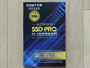 EAGET S300 M.2 2242 1TB SATA SSD