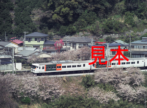 鉄道写真、645ネガデータ、145981040007、185系、特急踊り子号、JR東海道本線、早川〜根府川、2006.04.06、（4591×3362）