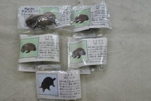 チョコエッグ 日本の動物 アナグマばっかり　4個＋おまけ