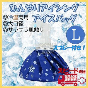 アイスバッグ Lサイズ 1個 スプレー 氷のう 氷嚢 アイシング ゴルフ 熱中症