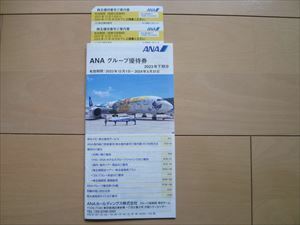 ANA株主優待券2枚(2023年12月1日～2024年11月30日)+優待クーポン