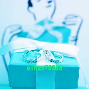 ♪即決♪新品　未使用 TIFFANY &Co. ティファニー　1837ピアス